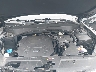 5XYP54HC1MG****** Repairable 2021 Kia Telluride in Elkton