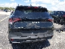 5XYK6CDF6RG****** Usados 2024 Kia Sportage