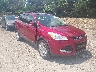 1FMCU9H97DU****** Salvage and Wrecked 2013 Ford Escape in Indianapolis