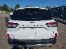 1FMCU9G60MU****** Destrozados 2021 Ford Escape