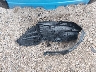 JF2GPANC3G8****** Wrecked 2016 Subaru Crosstrek in Arkansas State