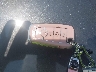 3FA6P0LU1KR****** Salvamento 2019 Ford Fusion Hybrid en Estado de Indiana