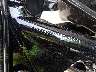 1HD1KB715TB****** Reparables 2026 Harley-Davidson FLHXS en Rec Rides Online Exclusive