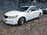 1HGCP26899A****** Used and Repairable 2009 Honda Accord in Central New Jersey