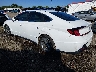 5NPEF4JA6LH****** Salvamento y Reparables 2020 Hyundai Sonata en Columbus