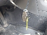 JN1CV6AR9DM****** Salvamento 2013 Infiniti G37 en Estado de Maryland