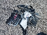 2GKALPEK2G6****** Wrecked 2016 GMC Terrain in Ohio State