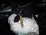 4S4BRBCCXC3****** Salvage 2012 Subaru Outback in Arizona State