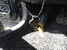 2T3DFREV4DW****** Salvamento 2013 Toyota RAV4 en Estado de Colorado