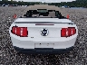 1ZVBP8EM7C5****** Usados 2012 Ford Mustang