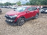 2HKRW2H55NH****** Used and Repairable 2022 Honda CR-V in Sayreville