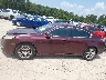 19UUA8F28BA****** Salvamento 2011 Acura TL