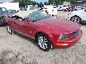 1ZVHT84N495****** Salvamento y Destrozados 2009 Ford Mustang en Buckhannon