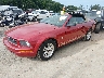 1ZVHT84N495****** Usados y Reparables 2009 Ford Mustang en Buckhannon