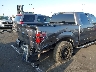 1FTEW1CM6EK****** Salvamento y Destrozados 2014 Ford F-150 en Estado de California