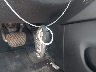 5N1DR2DN9LC****** Salvage 2020 Nissan Pathfinder in Texas State