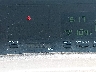 4T1BF28BX4U****** Destrozados 2004 Toyota Avalon
