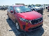 5XYPGDA56KG****** Salvage and Wrecked 2019 Kia Sorento in Lincoln