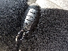 JN1EV7AP5GM****** Salvage 2016 Infiniti Q50 in Texas State