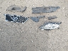 2T2ZK1BA2CC****** Wrecked 2012 Lexus RX 350 in Arkansas State
