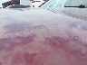 1GNSKBKC8GR****** Salvage and Repairable 2016 Chevrolet Tahoe in Nebraska State