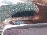 19XFA1F95BE****** Used 2011 Honda Civic in Philadelphia