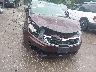 5XXGM4A73DG****** Salvamento y Reparables 2013 Kia Optima en Estado de Kansas