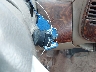 1FTRW07L92K****** Salvage 2002 Ford F-150 in Texas State