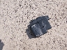 JN8AT2MV0HW****** Destrozados 2017 Nissan Rogue en Estado de Wisconsin