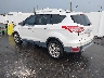 1FMCU0J96EU****** Salvage and Repairable 2014 Ford Escape in Clearwater