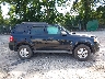1FMCU0D72AK****** Usados 2010 Ford Escape en Estado de Georgia