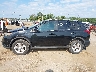 2T3RFREVXEW****** Salvage 2014 Toyota RAV4