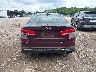 5XXGT4L34KG****** Wrecked 2019 Kia Optima