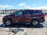 5FNYF6H51GB****** Salvamento 2016 Honda Pilot