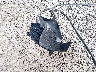1G11C5SL7FF****** Destrozados 2015 Chevrolet Malibu en Estado de Ohio