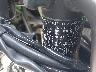 ML5EXGJ19SD****** Reparables 2025 Kawasaki Ninja 500 en Rec Rides Online Exclusive