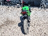ML5EXGJ19SD****** Salvamento y Reparables 2025 Kawasaki Ninja 500 en Estado de Texas