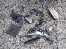 5FNYF4H53FB****** Salvamento 2015 Honda Pilot en Estado de Carolina del Sur