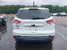 1FMCU0F75FU****** Destrozados 2015 Ford Escape
