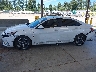 KMHLN4AJXPU****** Salvage and Repairable 2023 Hyundai Elantra Hybrid in Washington State