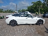 5YJ3E1EA3MF****** Destrozados 2021 Tesla Model 3 en Estado de Florida