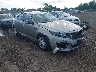 5XXGM4A73EG****** Salvage and Wrecked 2014 Kia Optima in Columbus