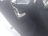 3N1AB8CV9PY****** Wrecked 2023 Nissan Sentra in Reno