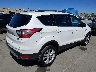 1FMCU0GDXHU****** Salvamento y Destrozados 2017 Ford Escape en Estado de California