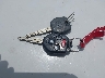 JF2SJAKC2GH****** Salvage 2016 Subaru Forester in Iowa State