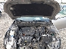 5XXGM4A72EG****** Reparables 2014 Kia Optima en Tampa