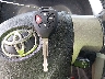 1NXBU4EE5AZ****** Salvage 2010 Toyota Corolla in Tennessee State