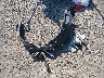 4A4AP4AW8FE****** Destrozados 2015 Mitsubishi Outlander en Estado de Nueva York