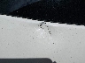 1GNKVGED3BJ****** Wrecked 2011 Chevrolet Traverse