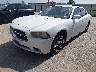 2C3CDXAG0DH****** Usados y Reparables 2013 Dodge Charger Police en Houston